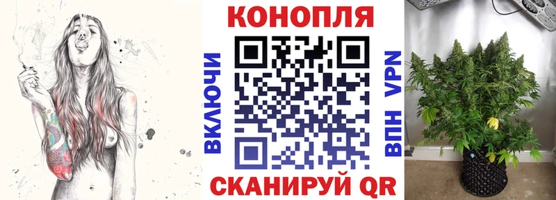 Бошки Шишки OG Kush Бобров